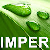 Negocio Impermeabilizaciones G. Fuentes S.l.