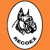 Retirada De Amianto - Recoex