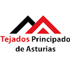 Negocio Tejados Principado De Asturias
